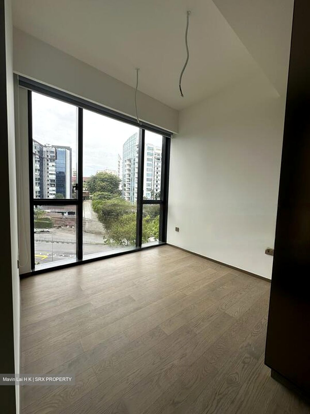 Leedon Green (D10), Condominium #422396161